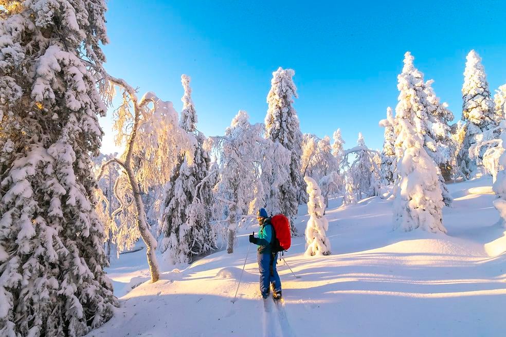 Talvivaelluksen perusteet verkkokurssi itseopiskellen 2024-2025 by Adventure Apes